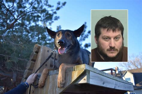 Man Charged With Striking Lake County Sheriffs K 9 Injuring Deputy