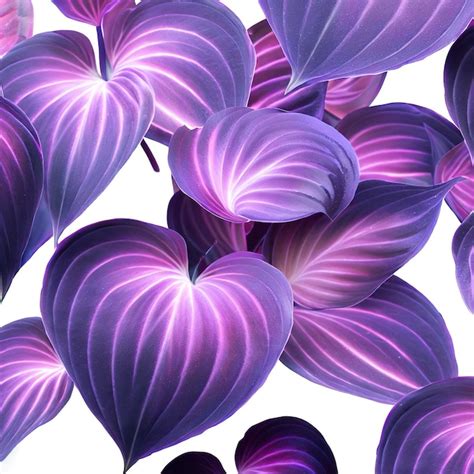 Premium Ai Image Violet Leaves Patternleaf Tradescantia Pallida Or