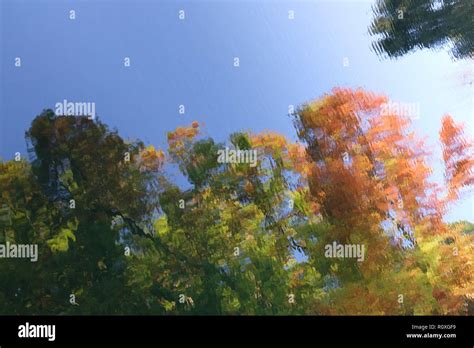 blue sky autumn development  res stock photography  images alamy