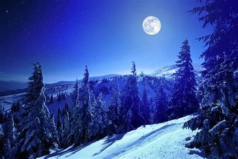 Winter Moon Photograph by Yourapechkin | Pixels