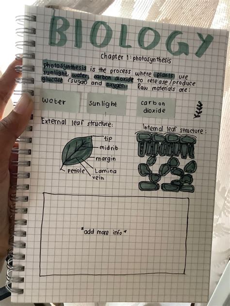 Biology notes - aesthetic - 2 | Biology notes, Photosynthesis, Good notes