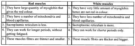 NCERT Solutions For Class 11 Biology Chapter 20 Locomotion And Movement