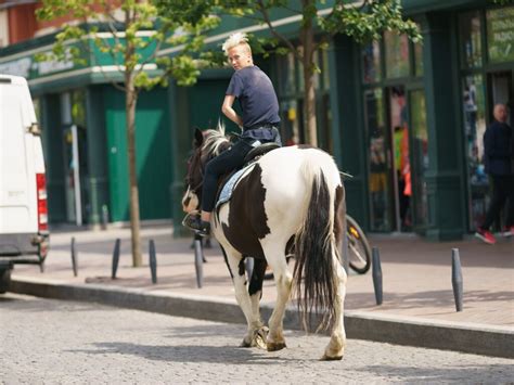 Napoli La Tangenziale Diventa Un Ippodromo Sgroppata Di Un Cavallo