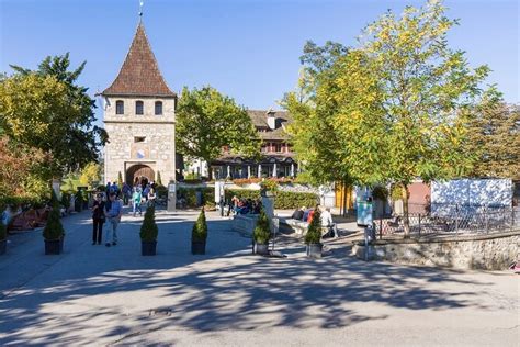 Rhine Falls And Stein Am Rhein Half Day Tour From Zurich