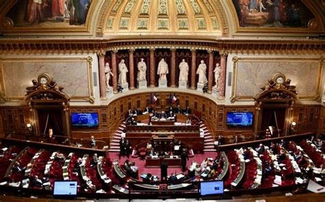 French Senate to weigh compensation for victims of anti-gay laws - Raw ...