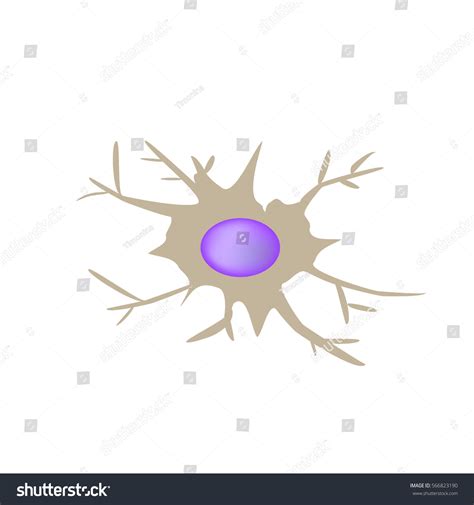 Dendritic Cell Immunity Infographics Vector Illustration Stock Vector ...