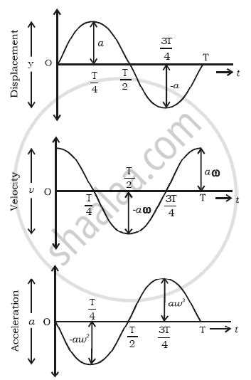 Draw Graphs Of Displacement Velocity And Acceleration Against Phase