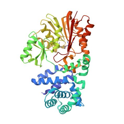 RCSB PDB 1SQF The Crystal Structure Of E Coli Fmu Binary Complex