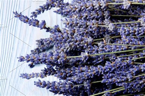 Get Inspired For Lavender Flower Singapore 20