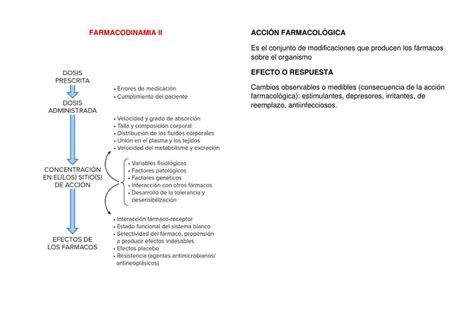 Farmacodinamia Ii Arana Camila Silva Udocz