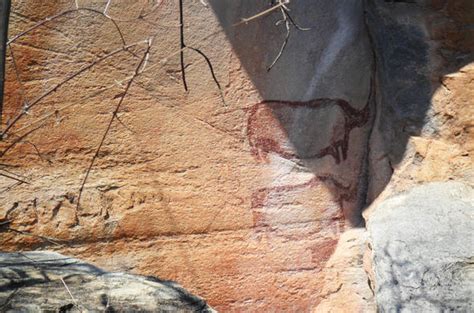 Tsodilo Hills - Rock Art - Botswana