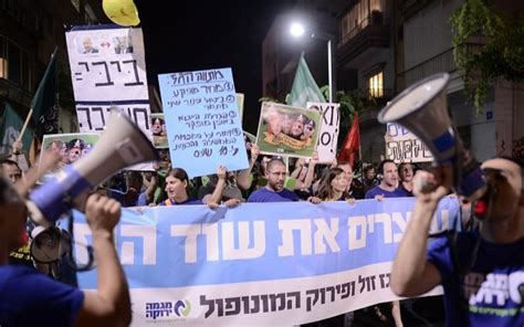 Hundreds Protest In Tel Aviv Against Natural Gas Deal The Times Of Israel