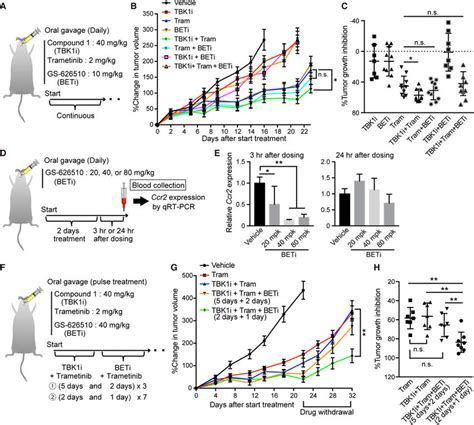 Development Of Combination Therapy Using Optimized Tbk And Bet