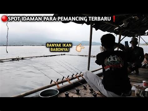 Spot Mancing Idaman Terbaru Spot Ini Banyak Ikan Babonya Spot Mancing