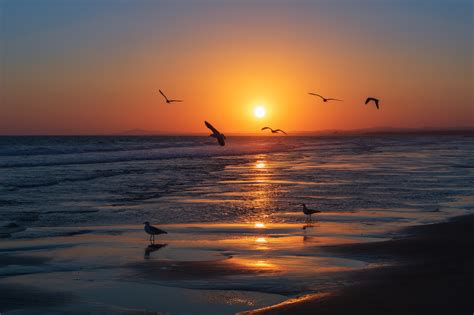 Free Images Sunset Horizon Sea Ocean Sunrise Water Sun Cloud