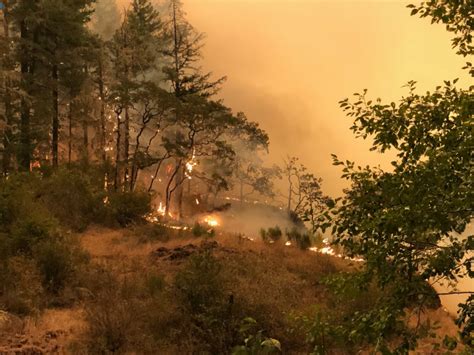 Effects Of Wildfire On Agriculture The Corvallis Advocate