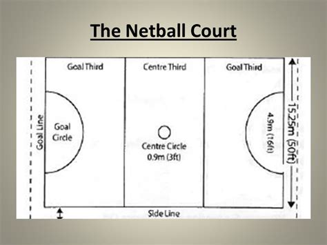 Netball Rules And Positions How To Play Netball Playfinder 57 Off