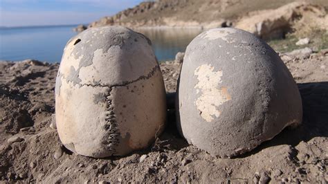 Van da insan kemikleri bulundu Gören hemen jandarmayı aradı