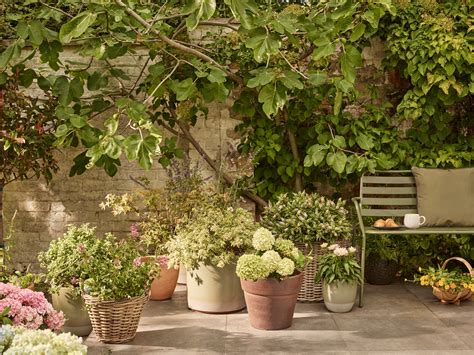 Learn how to save money while using these cheap garden ideas 3