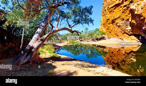 Ormiston Gorge Outback Landscape Water Hole Reflections Landscapes