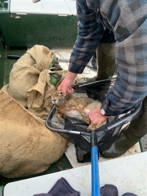 Côte d Or Auxonne les chasseurs volent au secours dune vingtaine de