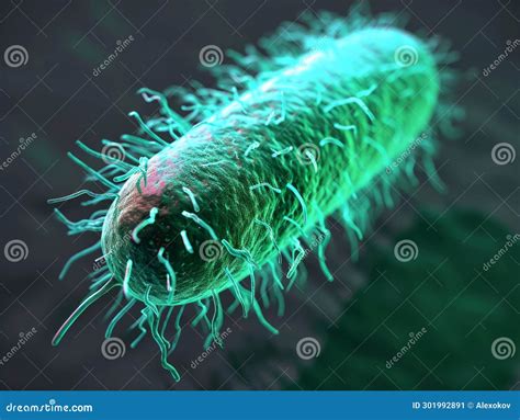 Escherichia Coli Bacterium 3d Illustration Gram Negative Rod Shaped Bacteria That Cause