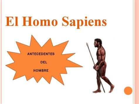 Homo Sapiens by Laura Carcache - Issuu