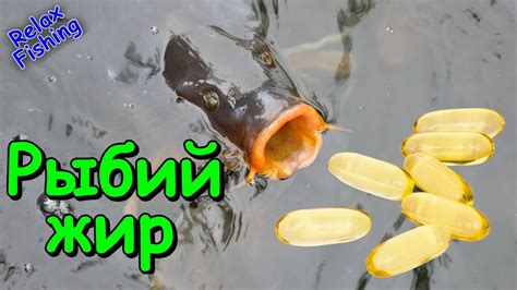 РЫБИЙ ЖИР - реакция рыбы. Подводные съемки рыбалки. Карась, плотва ...