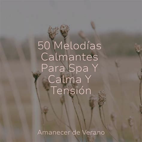 Melod As Calmantes Para Spa Y Calma Y Tensi N Meditaci N Maestro