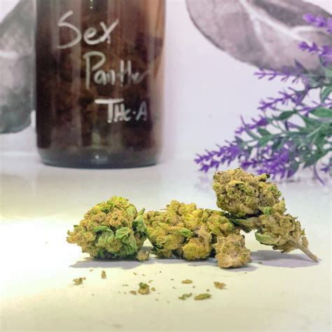 Sex Panther Thc A Blue Flowers