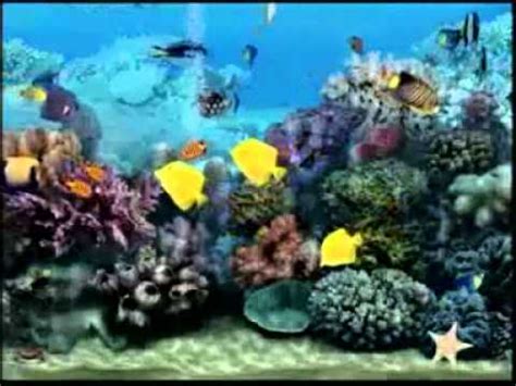 Aquarium Anime Pour Fond Decran Gratuit