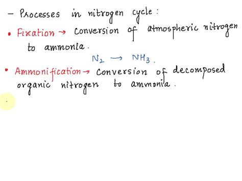 Solved Characterize The Following Processes In The Nitrogen Cycle