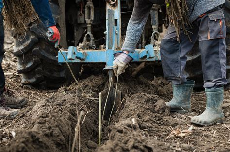 ProFlow Pavers — Building a Sustainable Future: Our Commitment to