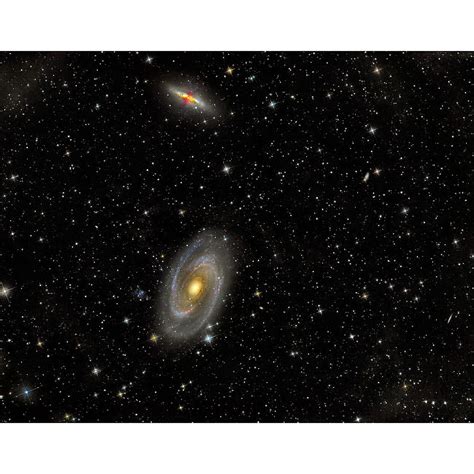 Cigar Galaxy And Bode S Galaxy In The Constellation Ursa Major Poster