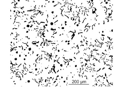 Typical Compacted Graphite Cast Iron Containing Approximately 20 Of Download Scientific