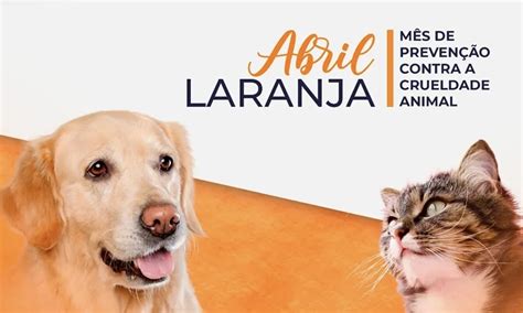 Abril Laranja alerta para a prevenção contra a crueldade animal Blog