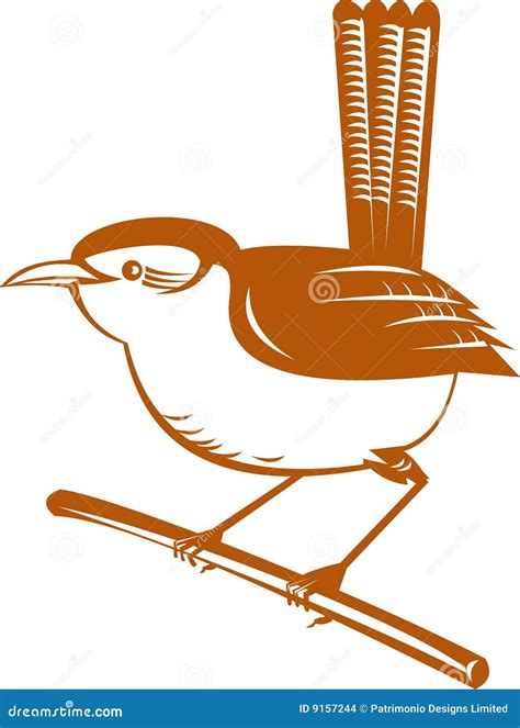 Wren Bird Stock Vector Illustration Of Wildlife Feather 9157244