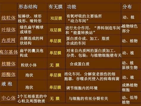 组成细胞结构的主要物质是什么，请问细胞内的结构物质是什么？ 综合百科 绿润百科