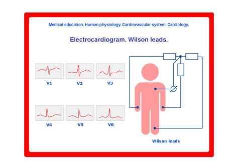 Conceptdraw Samples Science And Education — Medicine