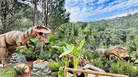 Maior parque de dinossauros do Brasil abre as portas em Balneário