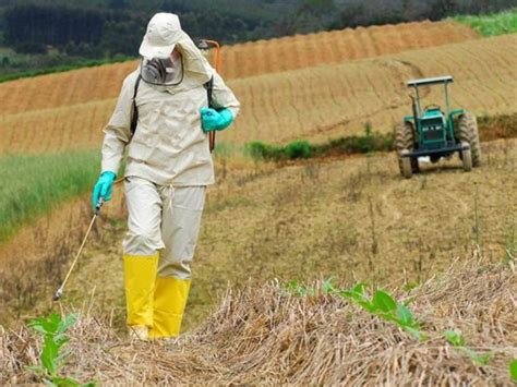 Defensivos Agrícolas Mitos E Verdades Revista Procampo