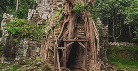 Ruins of Temple in Angkor Wat · Free Stock Photo