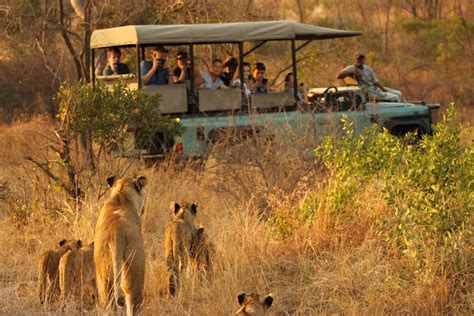 The Extraordinary Beauty Of Kruger National Park Touristsecrets