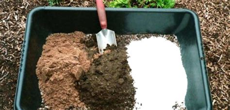 How to Make Soilless Potting Mix - Plant Instructions