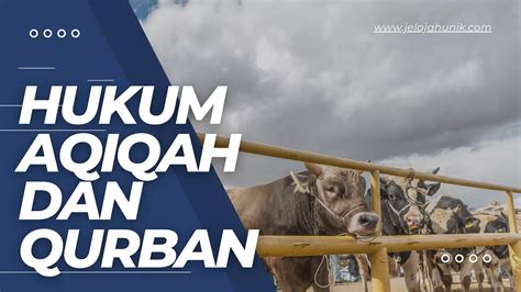 Perbedaan Aqiqah Dan Qurban Pdf