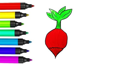 How To Draw A Turnip Step By Step Turnip Drawing Easy Vegetables