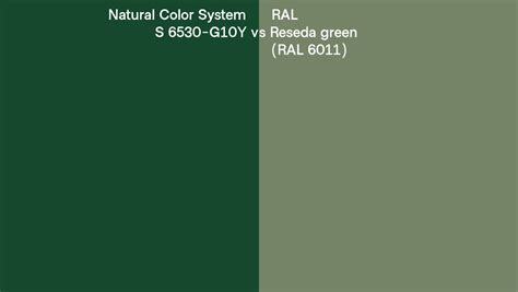 Natural Color System S 6530 G10Y Vs RAL Reseda Green RAL 6011 Side By