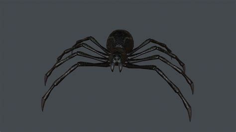 Spider Low Poly Free VR AR Low Poly 3D Model CGTrader