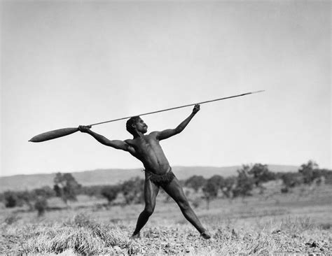 Spear Thrower Aboriginal Aboriginal Man