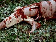 Naked Lynda Stoner In Escape